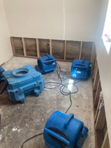 Blue air movers and drying equipment set up in a room with exposed wall studs for water damage remediation by Flood Pros in Sandy, UT.