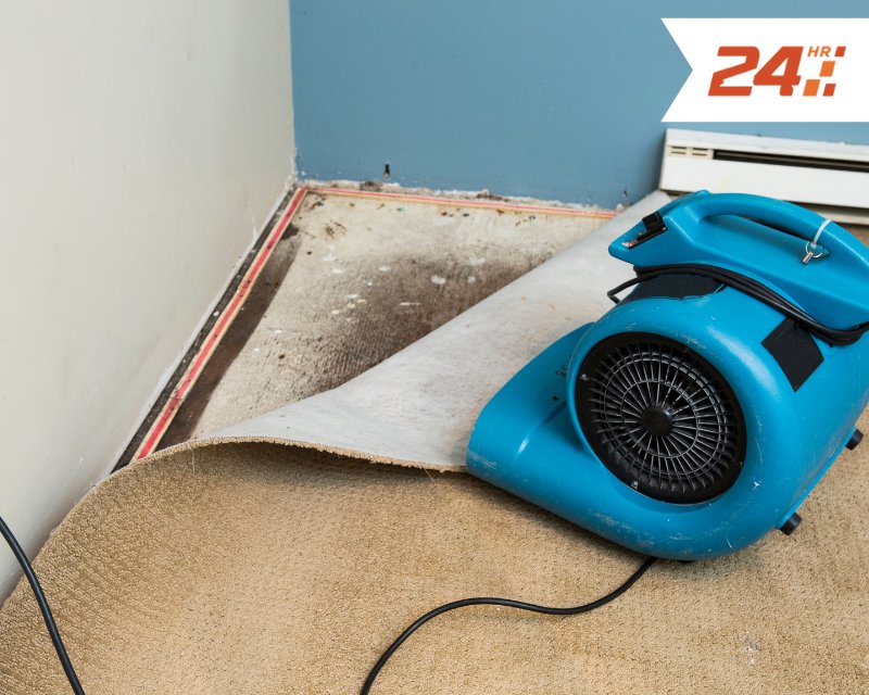 A blue industrial drying fan (air mover) on a pulled-back carpet, actively drying a water-damaged area for 24HR Flood Pros of OKC in Oklahoma City, OK.