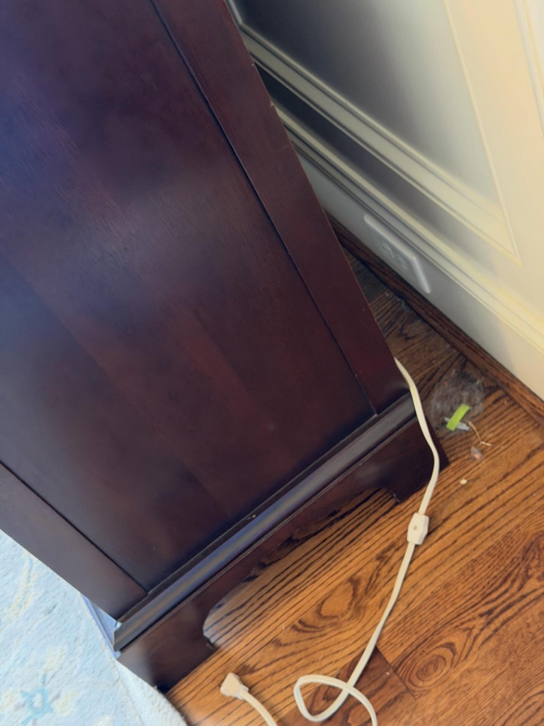 Dust bunnies and debris accumulated behind furniture on a hardwood floor, a common area cleaned by The Guzman Cleaning Service LLC in San Jose, CA.
