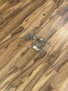 A pile of dust, lint, and debris on a wooden floor, ready for cleaning by Awesome Fresh Start Cleaning Service in Baton Rouge, LA.