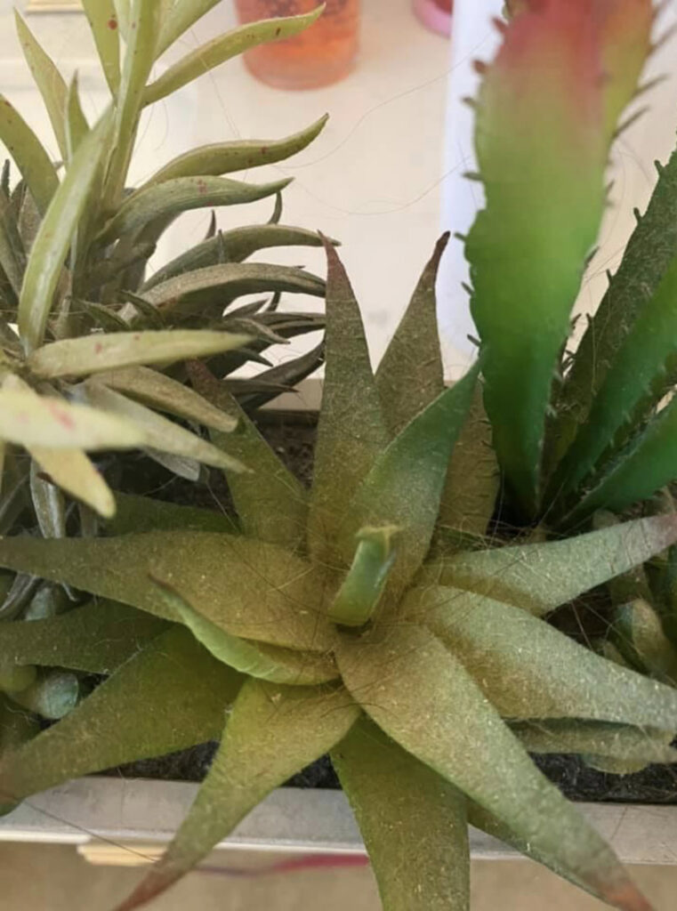 A close-up of a dusty artificial plant, highlighting a detail needing cleaning by ICA Cleaning in Vancouver, WA.
