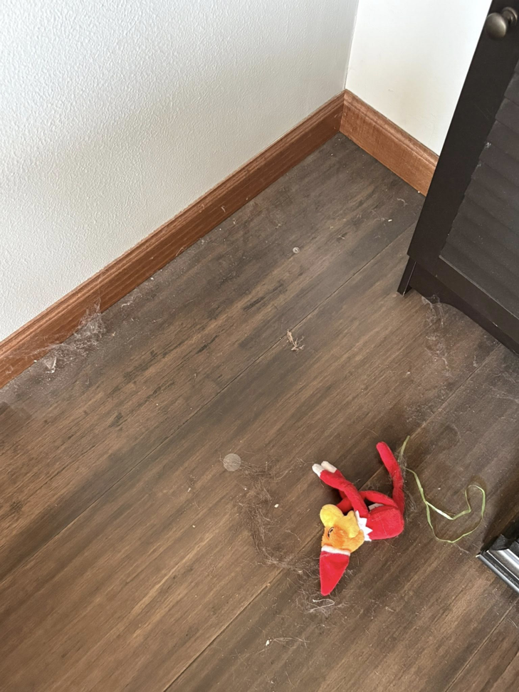 A dusty hardwood floor corner with visible cobwebs, awaiting cleaning by Spotless by Sam LLC in Green Bay, WI.