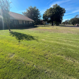 An expansive green lawn featuring distinct mowing stripes, expertly maintained by Day One Landscaping in Mississippi.