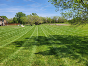 An expansive field of green grass with perfect mowing stripes, demonstrating quality lawn care by A & B Lawn Service LLC in Baytown, TX.