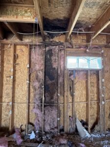 Exposed walls and insulation showing severe damage, likely from water or mold, by Western Skies Restoration in Gilbert, AZ.