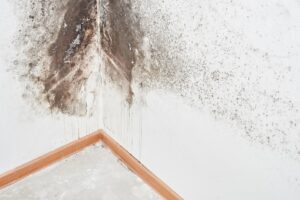 Extensive mold growth and water damage on a ceiling and wall corner, showing peeling paint, handled by Green Home Solutions in Mount Airy, MD.
