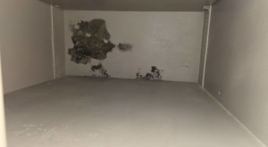 Extensive mold growth on the back wall of a cabinet, a clear sign of water damage, handled by ABS Restoration Services, Inc. in North Little Rock, AR