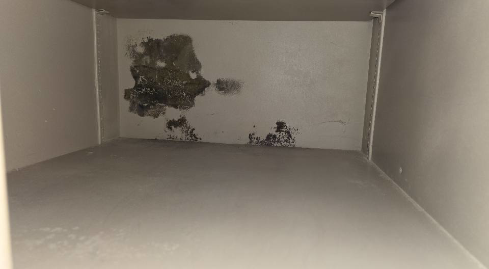 Extensive mold growth on the back wall of a cabinet, a clear sign of water damage, handled by ABS Restoration Services, Inc. in North Little Rock, AR
