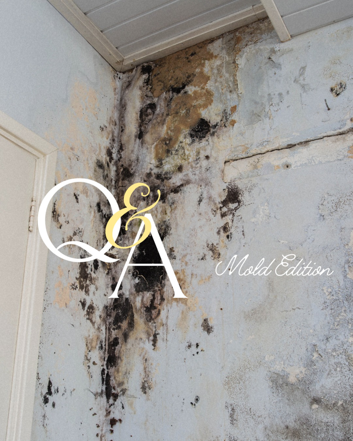 Extensive mold growth and peeling paint on a wall, indicating a job for Intermountain Cleaning and Restoration in Butte, MT