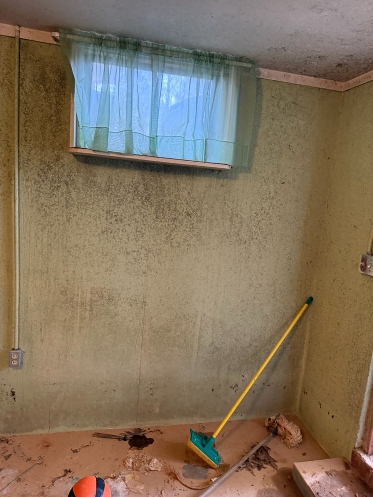 Extensive mold growth covering the walls of a room, indicating severe water damage remediation by Elam Enterprises in Jonesboro, AR.
