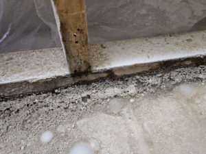 Mold and water damage at floor and wall junction with exposed wooden framing, by Dakota Fire and Water Restoration in Bismarck, ND