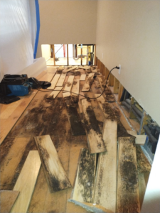 Extensive water damage and mold on a subfloor during remediation by Peak Home Pro Restoration in Clovis, NM.