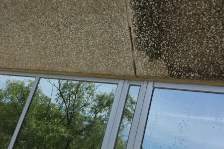 Exterior building facade showing water stains and discoloration, indicating moisture issues addressed by Local Clean Up Specialists in Green Bay, WI.