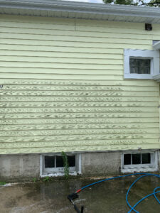 Exterior house siding showing green algae and mold growth due to moisture, indicating a cleanup job by Local Clean Up Specialists in Green Bay, WI.