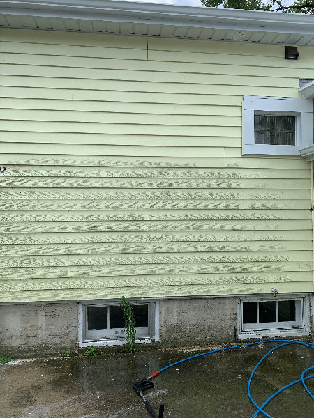 Exterior house siding showing green algae and mold growth due to moisture, indicating a cleanup job by Local Clean Up Specialists in Green Bay, WI.