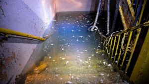 A severely flooded basement stairwell with standing water, requiring water damage restoration by Restoration Specialist in O Fallon, MO.