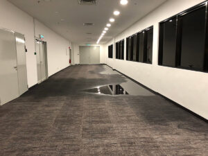 A long hallway with standing water on a carpeted floor, indicating significant water damage, addressed by Absolute Water Mitigation & Restoration in Greeley, CO