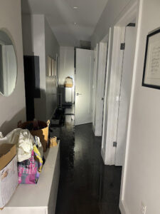 A residential hallway with standing water on the floor, indicating water damage requiring A2 Restoration in Ann Arbor, MI.