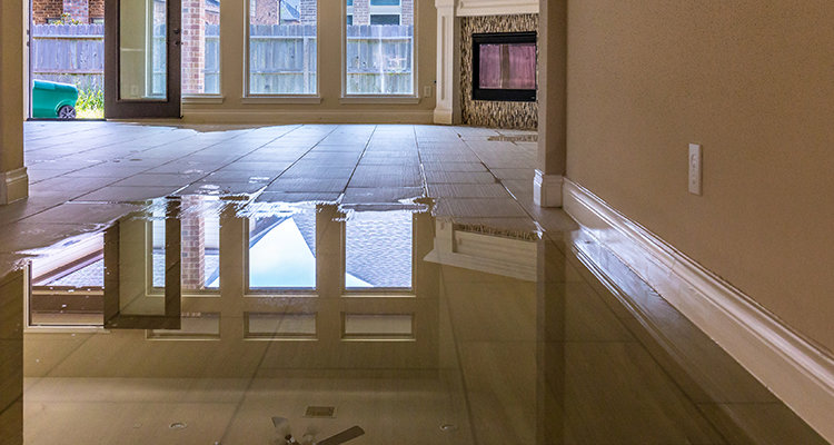 A room with standing water covering the floor, reflecting windows, indicating significant water damage requiring immediate attention from The Restoration Experts in Waupaca, WI.