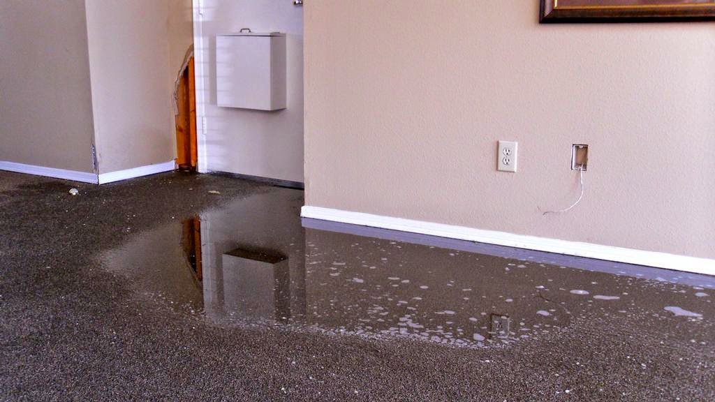 A room with a wet, possibly carpeted floor reflecting the walls, indicating water damage in Oakland, CA by One Call Services of Oakland.