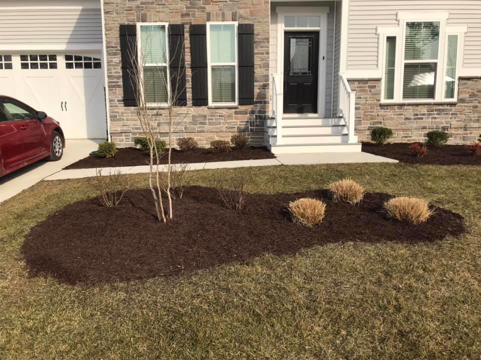 Fresh dark brown mulch applied around a young tree and shrubs in a residential front yard by Mike's Lawn Care Service in Dover, DE.