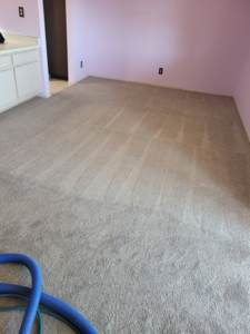 A freshly cleaned carpet with visible cleaning lines and equipment hose, demonstrating expert carpet cleaning by All Clean N Brite LLC in Rio Rancho, NM.