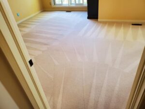 A freshly cleaned carpet with visible cleaning lines, showcasing the quality work of Happy Client Cleaning Services in Fort Collins, CO.