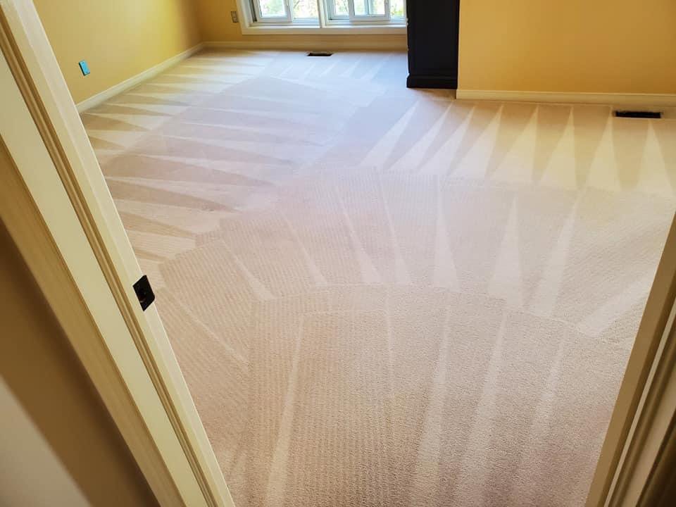 A freshly cleaned carpet with visible cleaning lines, showcasing the quality work of Happy Client Cleaning Services in Fort Collins, CO.