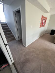 A freshly cleaned carpet in a residential room, showcasing the quality work of Pile's Carpet Care & Restoration Service in Elizabethtown, KY.