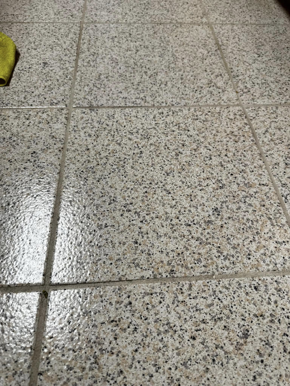 A freshly cleaned speckled tile floor, still wet from cleaning, by Dust Devil Cleaning in Eugene, OR.