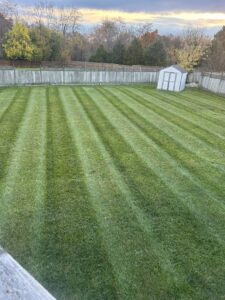 A freshly mowed backyard with distinct stripes, showcasing professional lawn care by Neace's Lawn Care LLC in Martinsburg, WV.