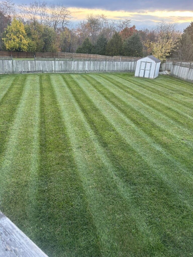 A freshly mowed backyard with distinct stripes, showcasing professional lawn care by Neace's Lawn Care LLC in Martinsburg, WV.