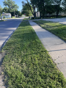 Freshly mowed and edged grass along a sidewalk, showcasing work by Vick's Lawn Care Service in Des Moines, IA.