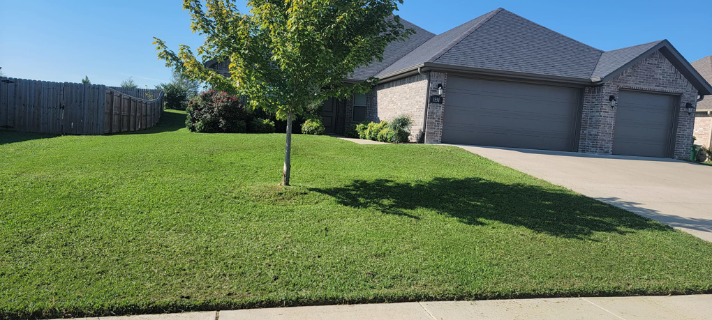 A freshly mowed, vibrant green lawn with a small tree in front of a house by Reap What You Mow Lawn Care LLC in Springdale, AR.