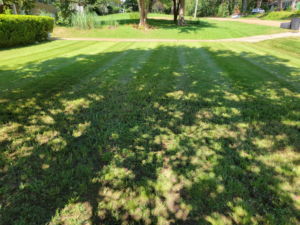 A freshly mowed lawn with distinct stripes, showcasing professional lawn care by Caffey's Lawn Care LLC in Jackson, MS.