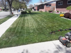 A freshly mowed lawn with neat stripes, showing a lawnmower and trimmer used by Atkinson Lawn Care Service in Salt Lake City, UT.