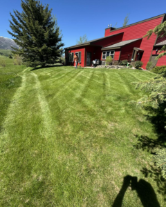 A beautifully freshly mowed lawn with distinct stripes, showcasing professional lawn care by Jerman Lawn Care in Bozeman, MT.