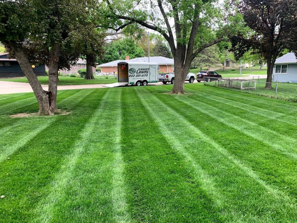 A freshly mowed lawn with distinct stripes, showcasing professional lawn care by Kanger Lawns LLC in Omaha, NE.