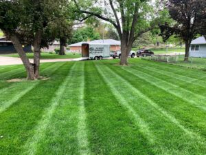 A freshly mowed lawn with distinct stripes, showcasing professional lawn care by Kanger Lawns LLC in Omaha, NE.