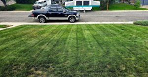 A freshly mowed lawn with distinct stripes, showcasing quality lawn care from Matt's Lawn Service in Casper, WY.