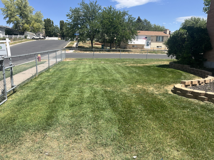 A freshly mowed residential lawn with distinct stripes by Lakeside Lawn Care in Sanford, NC.