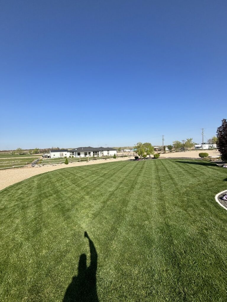 A freshly mowed residential lawn with neat stripes, a service provided by Luna's Lawn Care LLC in West Des Moines, IA.