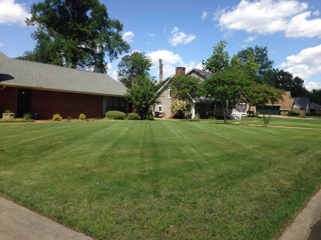 A freshly mowed residential lawn with distinct stripes, showcasing quality lawn care by Pro Green, LLC in Greenville, MS.