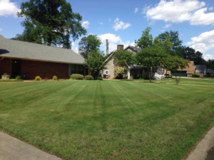 A freshly mowed residential lawn with distinct stripes, showcasing quality lawn care by Pro Green, LLC in Greenville, MS.