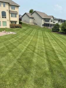 A freshly mowed lawn with distinct stripes, showcasing professional lawn care by Ankeny Grass Guys in Ankeny, IA.