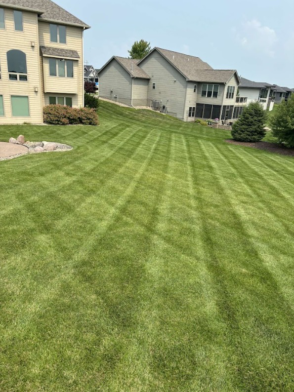 A freshly mowed lawn with distinct stripes, showcasing professional lawn care by Ankeny Grass Guys in Ankeny, IA.