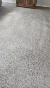 A freshly vacuumed carpet with distinct lines, showcasing the clean results from Blubyrd Cleaning Service in Boise, ID.