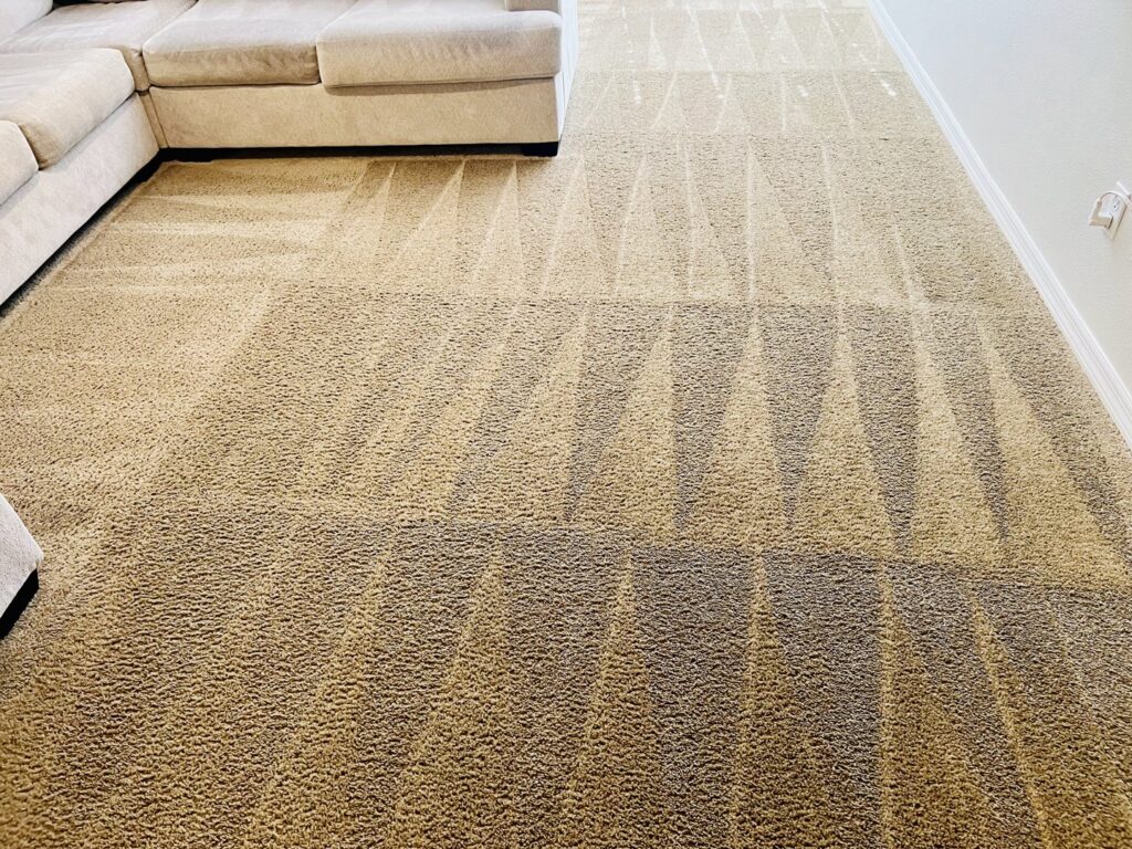 A freshly vacuumed carpet with distinct lines, showcasing a clean home by Cleaning Partners in Tampa, FL