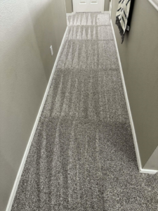 A freshly vacuumed carpeted hallway with distinct lines, showing professional care from Lupita's cleaning services in San Antonio, TX.