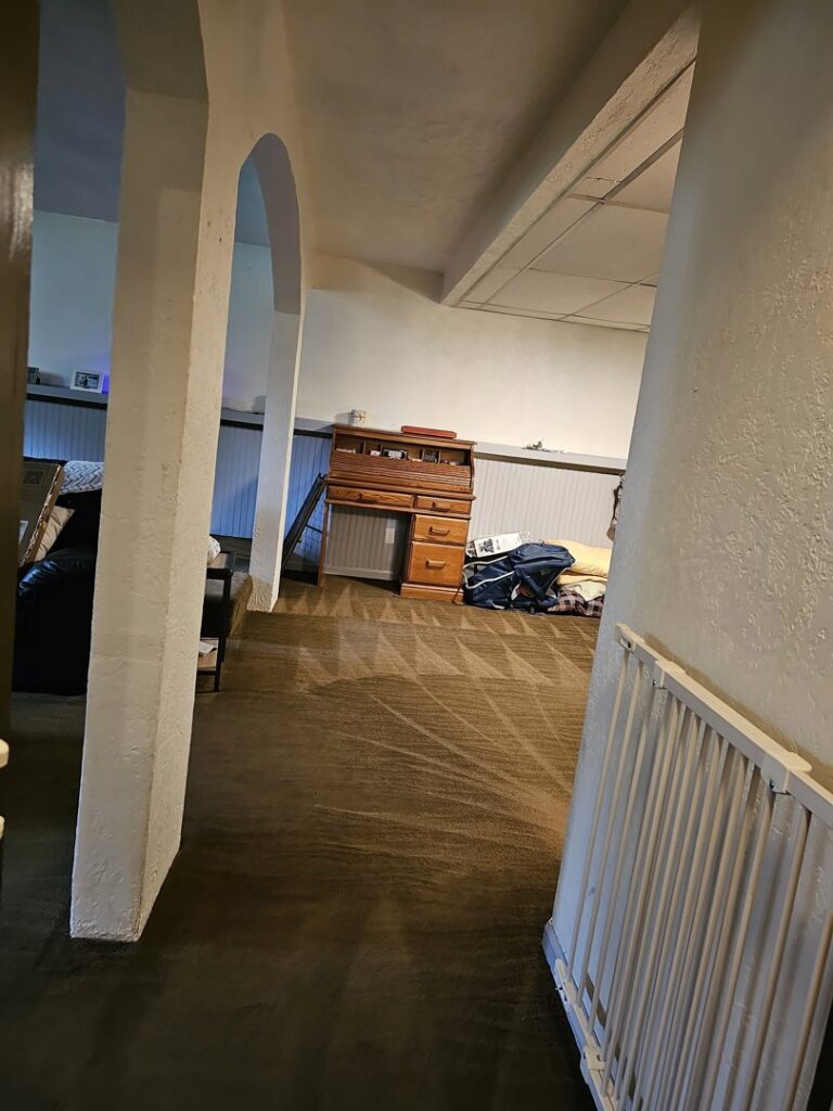 A freshly vacuumed carpeted hallway with distinct lines, demonstrating professional house cleaning by Way Too Bright Services LLC in Rockford, IL.